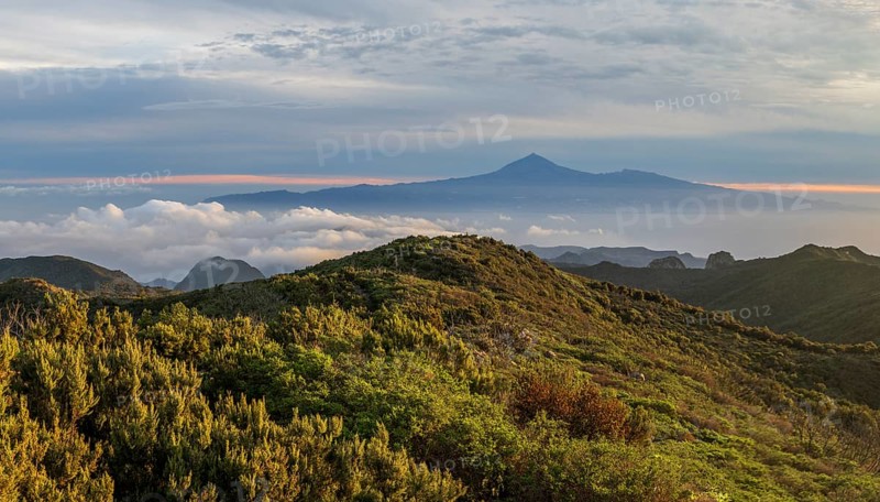 Sunrise, view of Mount Teide from Alto de Garajonay, Tenerife, Garajonay National Park, La Gomera, Canary Island, Spain, Europe