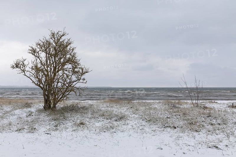 Winter on the Baltic Sea, snow in Wohlenberger Wieck, Bay of Wismar, Mecklenburg-Western Pomerania, Germany, Europe