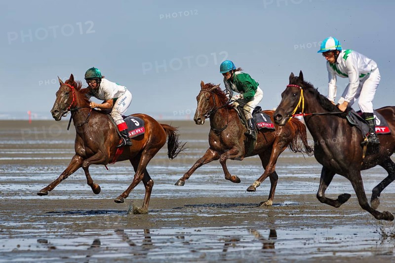 Three riders, horses at a gallop, gallop race in the mudflats, Duhner Wattrennen 2019, Duhnen, Cuxhaven, UNESCO World Heritage Wadden Sea, North Sea, Lower Saxony, Germany, Europe