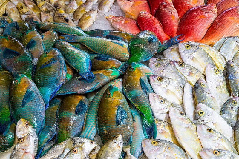 Red Sea Fish, Fish Market in Hurghada, Egypt, Africa