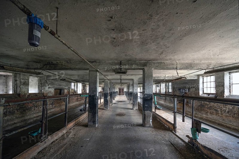 Empty cowshed of a former LPG of the GDR, Mecklenburg-Vorpommern, Germany, Europe