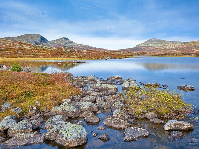 Autumn at Muvatnet, Rondane National Park, Venabygdsfjell, Rondafjell, Enden, Ringebu, Innlandet, Norway, Europe