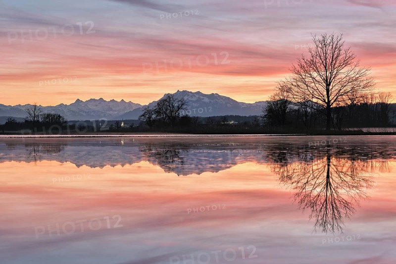 Pilatus reflected in the flooded nature reserve in the evening light, Reussspitz, Hünenberg, Canton Zug, Switzerland, Europe
