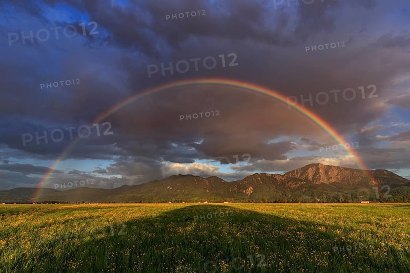 Rainbow, flower meadow, mountains, cloudy mood, evening light, Loisach-Lake Kochel moor, view of Jochberg and Kochler mountains, Alpine foothills, Bavaria, Germany, Europe