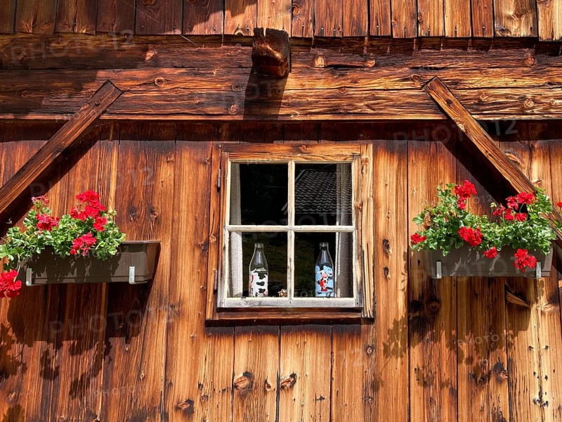 Window in the wooden wall of a rustic old alpine hut with geraniums, East Tyrol, Austria, Europe