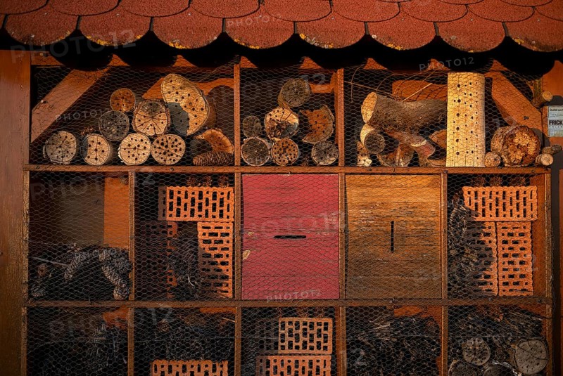Insect hotel, bee hotel, Waiblingen, evening light, Baden-Württemberg, Germany, Europe