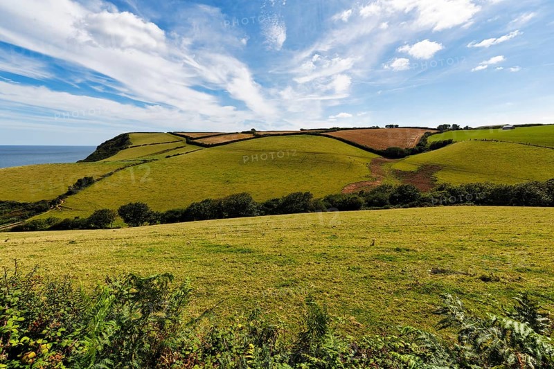 Hilly landscape with fields, meadows, hedges by the sea, spring clouds in summer, Cirrus, Cornwall, England, Great Britain