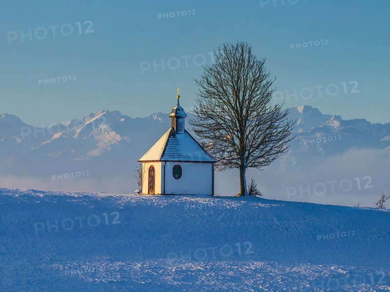 Chapel, tree, morning light, winter, snow, mountain landscape, near Riegsee, behind Zugspitze, Alpine foothills, Bavaria, Germany, Europe