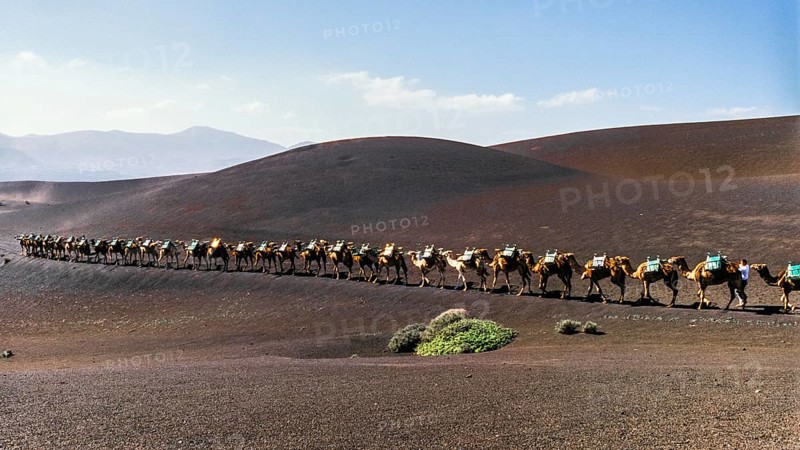 2016, Timanfaya National Park, Lanzarote, Fire Mountains of Timanfaya National Park, Montanas del Fuego, ESP, Spain, Canary Islands, Canary Islands, Atlantic Ocean, Lanzarote, biosphere reserve, volcano, volcanism, volcanic island, lava fields, island, camels, dromedary, camello, date taken, Europe