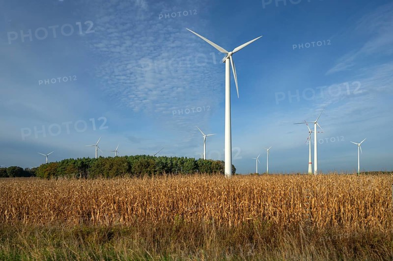 Wind turbines on the A9 motorway, cornfield in front, Thuringia, Germany, Europe