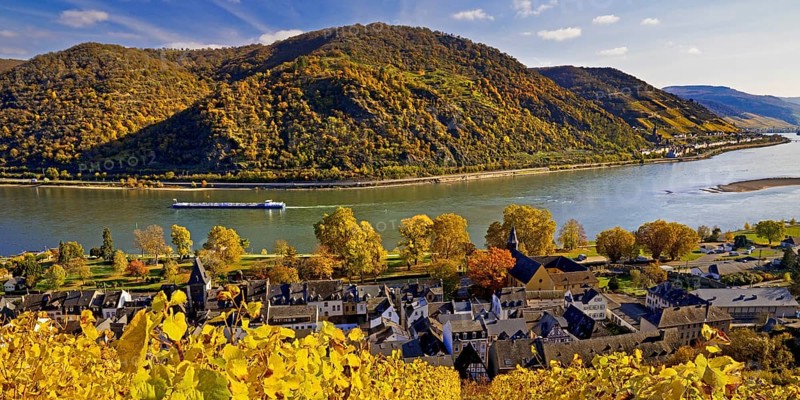 View of Bacharach on the Rhine in autumn, UNESCO World Heritage Upper Middle Rhine Valley, long-distance hiking trail RheinBurgenWeg, Rhineland-Palatinate, Germany, Europe