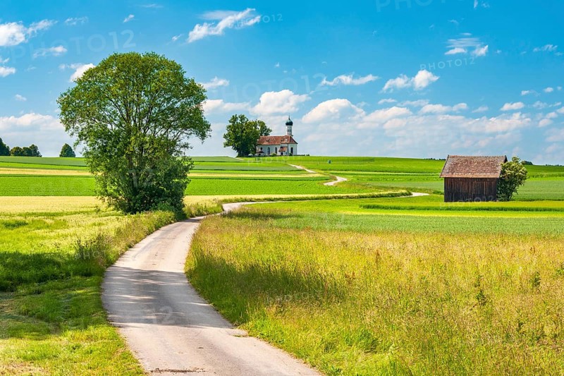 Field landscape, field path leads to the church of St Andreas in the middle of green fields under a blue sky with cumulus clouds, also St Andrä, Pfaffenwinkel, near Etting, Bavaria, Germany, Europe