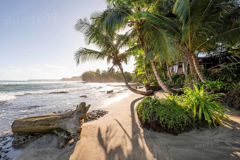 Sea and Caribbean sandy beach with palm trees at sunrise, sun star, Caribbean coast, Playa Negra, Cahuita, Limón province, Costa Rica, Central America