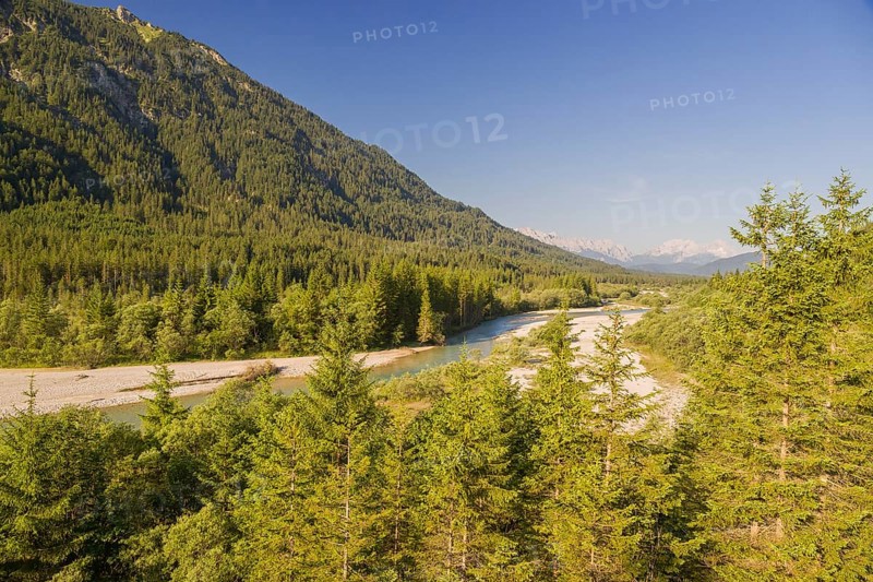 Isar valley nature conservancy area. The wild Isar river flows through its gravel bed past driftwood and entrained trees and bushes . Early morning