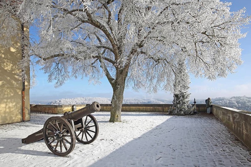 Medieval cannon with chariot wheels in winter, snow, frost, hoarfrost, Hellenstein Castle, Heidenheim an der Brenz, Swabian Alb, Baden-Württemberg, Germany, Europe