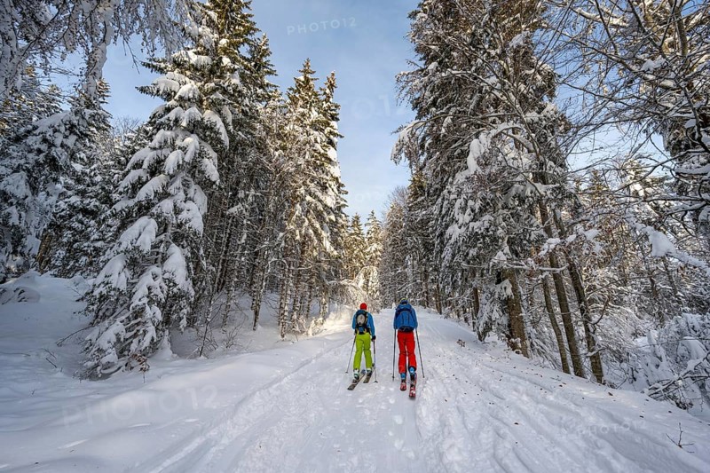 Two ski tourers in a snowy forest, ascent to Simetsberg, Estergebirge, Bavarian Prealps, Bavaria Germany