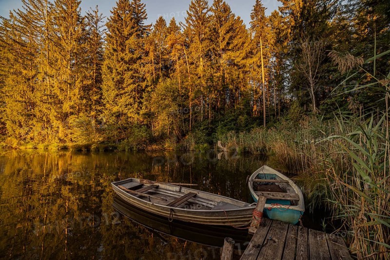 Boats in the autumnal Schmutter Weiher in the Allgäu near the municipalities of Halblech, Roßhaupten and Lechbruck in Ostallgäu in the foothills of the Alps
