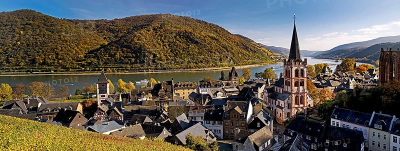 Autumn view of Bacharach on the Rhine with St. Peter's Church, UNESCO World Heritage Upper Middle Rhine Valley, Rhineland-Palatinate, Germany, Europe