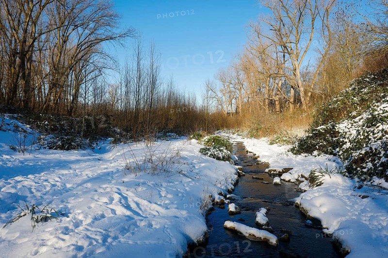 Bochum, North Rhine-Westphalia, Germany - Sunny winter landscape in the Ruhr area, ice and snow on the renaturalised Goldhammer Bach, the stream has been transformed into a near-natural watercourse, the Goldhammer Bach flows via the Hüller Bach into the Emscher, is part of the Emscher river system and thus part of the Emscher conversion, was previously an open, above-ground wastewater channel, mixed water channel with surface water and wastewater