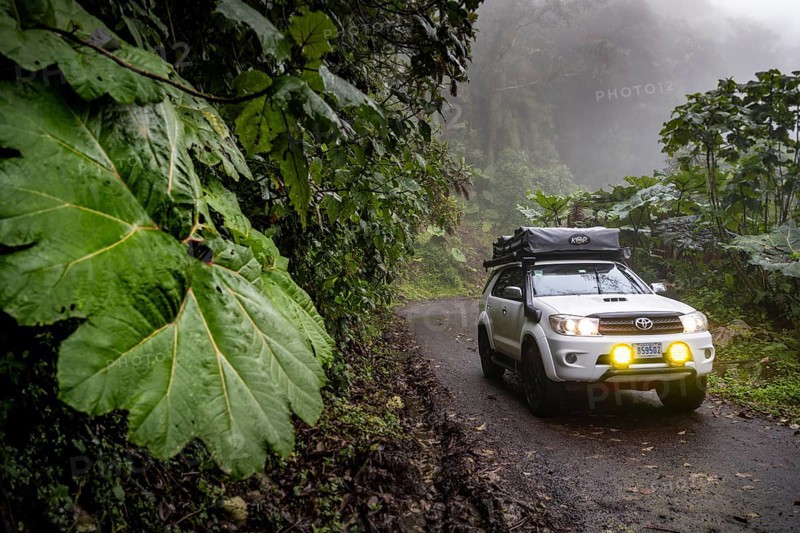 Off-road vehicle in the fog during rain, with fog lights on a narrow road, dense vegetation with mammoth leaves on a mountain road, near Esperanza, Cartago province, Costa Rica, Central America
