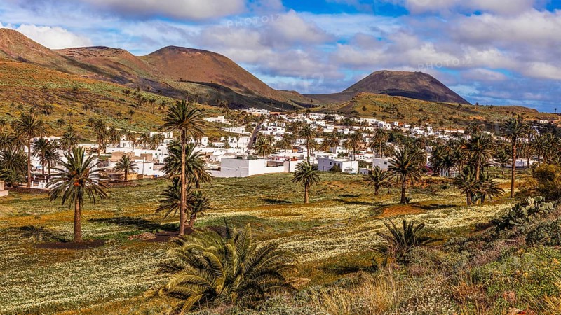 2016, Haria, Lanzarote, Haria, ESP, Spain, Canary Islands, Canary Islands, Atlantic Ocean, Lanzarote, biosphere reserve, volcano, volcanism, volcanic island, island, recording date, Europe