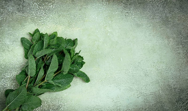 A bunch of vibrant green mint leaves lies on a textured gray surface, ready for use in cooking or as a garnish. The fresh herbs add flavor and aroma to various dishes.