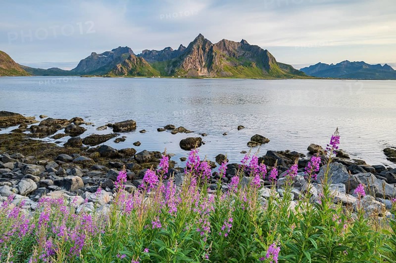View of mountains and coast near Vareid, Lofoten, Norway, Europe