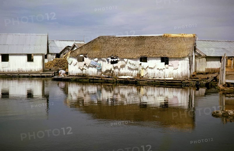 Informal shelters built on logs, known as the floating city, Manaus, Brazil 1962
