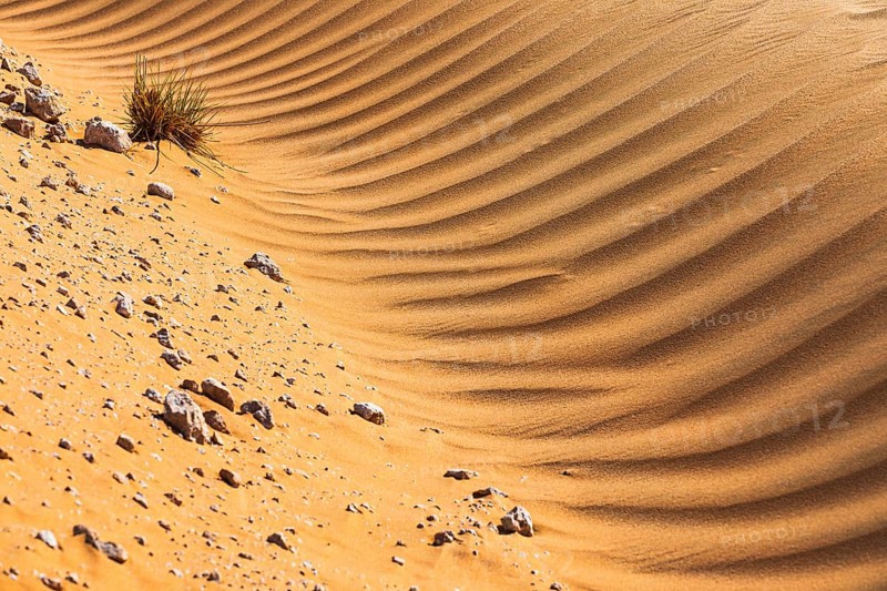 Wind-sculpted sand structure in the Rub al Khali desert, Dhofar province, Arabian Peninsula, Sultanate of Oman