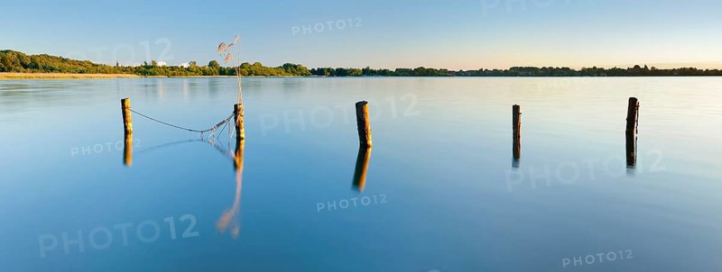 Evening mood at the Schaalsee, wooden post in the water, Zarrentin am Schaalsee, Schaalsee Biosphere Reserve, Mecklenburg-Western Pomerania, Germany, Europe