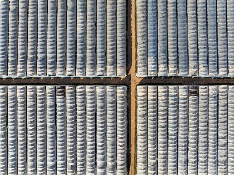 Plastic greenhouses with strawberry cultivations near the town of Isla Cristina. Aerial view. Drone shot. Huelva province, Andalusia, Spain, Europe