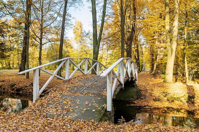 Bridge over the castle moat in autumn, park of Hermsdorf Castle, Ottendorf-Ockrilla, Saxony, Germany, Europe