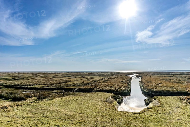 The East Frisian North Sea island of Juist in winter, marsh meadows in the west of the island, quiet zone in the national park, facing the Wadden Sea, Lower Saxony, Germany, Europe