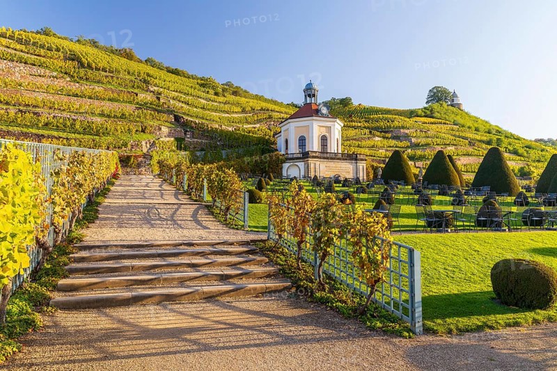 Belvedere in the vineyard with Jacobstein vineyard pavilion, Wackerbarth Castle Park, Radebeul, Saxony, Germany, Europe