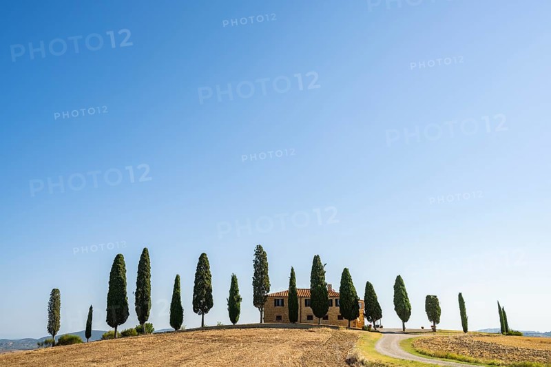 Tuscany landscape with cypresses and farmstead at sunrise, dawn, 'Podere Cipressini', San Quirico d'Orcia, Val d'Orcia, Tuscany, Italy, Europe