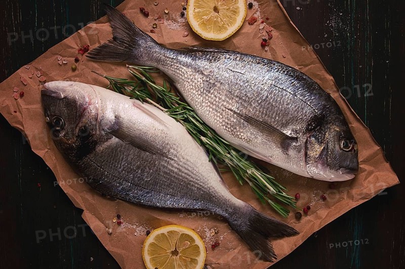 Fresh, Raw Dorado fish, Top view, Horizontal, no people