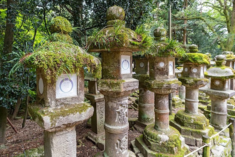 Stone lanterns, Kasuga-taisha shrine, Nara, Japan, Asia