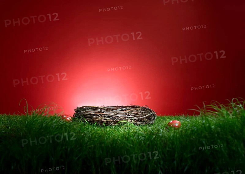 Turf in front of a red background, with an Easter nest and 2 red Easter eggs, studio shot