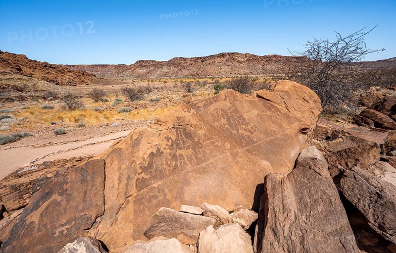 Depictions of animals on a rock slab, petroglyphs, rock engravings, Twyfelfontein, Kunene, Namibia, Africa