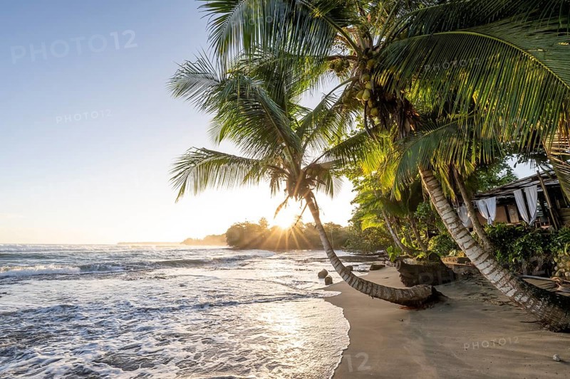 Sea and Caribbean sandy beach with palm trees at sunrise, sun star, Caribbean coast, Playa Negra, Cahuita, Limón province, Costa Rica, Central America