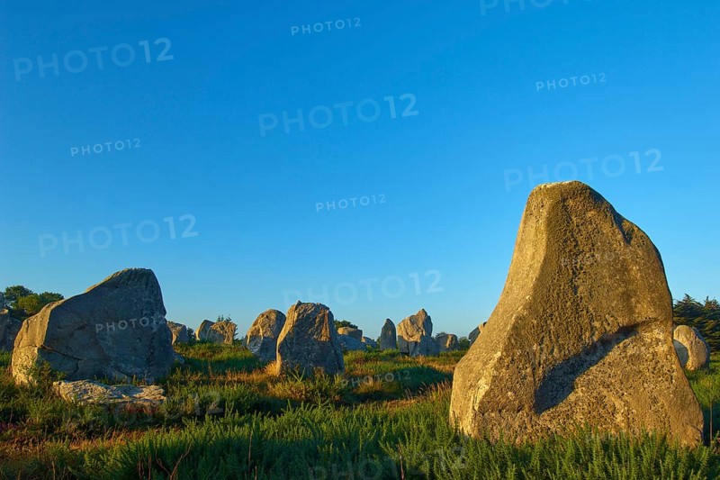Neolithic menhirs, standing stones in Carnac with sunrise, Carnac, Quiberon, Morbihan, Brittany, France, Europe