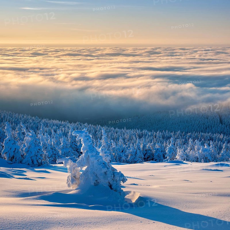 Morning atmosphere on the Brocken, view over snowy winter landscape with snow-covered spruce forest and sea of fog, above the clouds, inversion weather, Harz National Park, Saxony-Anhalt, Germany, Europe