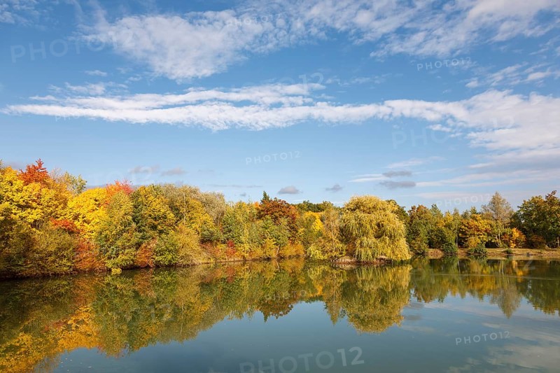 A quiet lake reflecting the colourful autumn trees and the blue sky, Offenbach, Southern Palatinate, Palatinate, Rhineland-Palatinate, Germany, Europe
