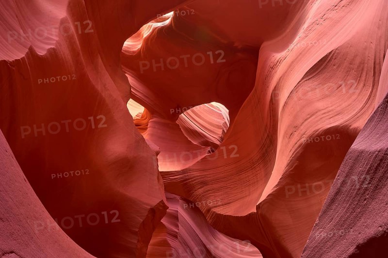 Fascinating sandstone formations in Antelpoe Canyon, showing soft, wave-like structures, Antelope Canyon, Arizona, USA, North America