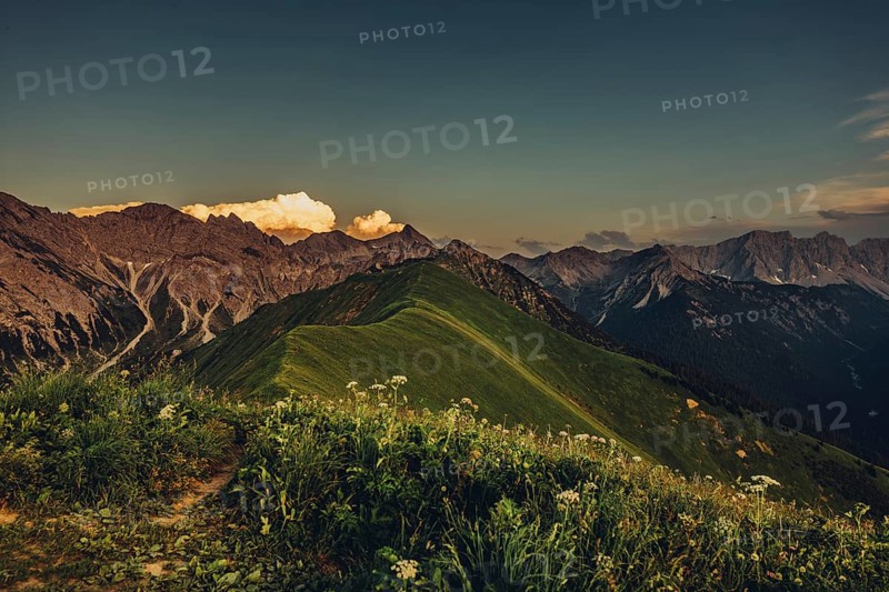 Hiking tour on the Hönig mountain in the Lechtal valley near Berwang in Tyrol, Austria, Europe