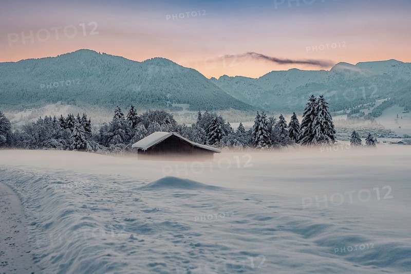 Deep snowy winter morning mood near Halblech in the foothills of the Alps in the Allgäu with the mountains in the background, Bavaria, Germany, Europe