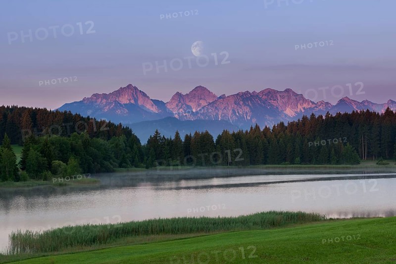 Idyllic lake with mountain landscape at dawn, pink sky and moon, Hegratsrieder See near Füssen, Ostallgäu, Allgäu, Swabia, Upper Bavaria, Bavaria, Germany, Europe
