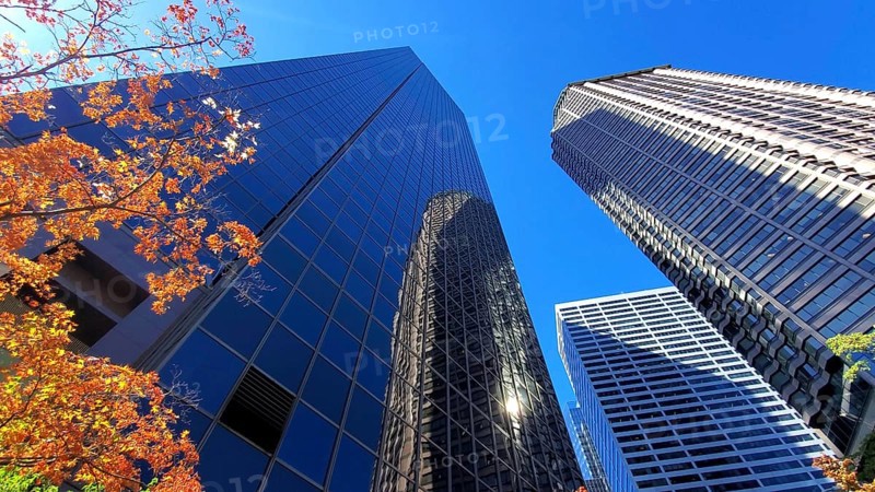 USA, Seattle financial and business district skyline in city downtown, North America