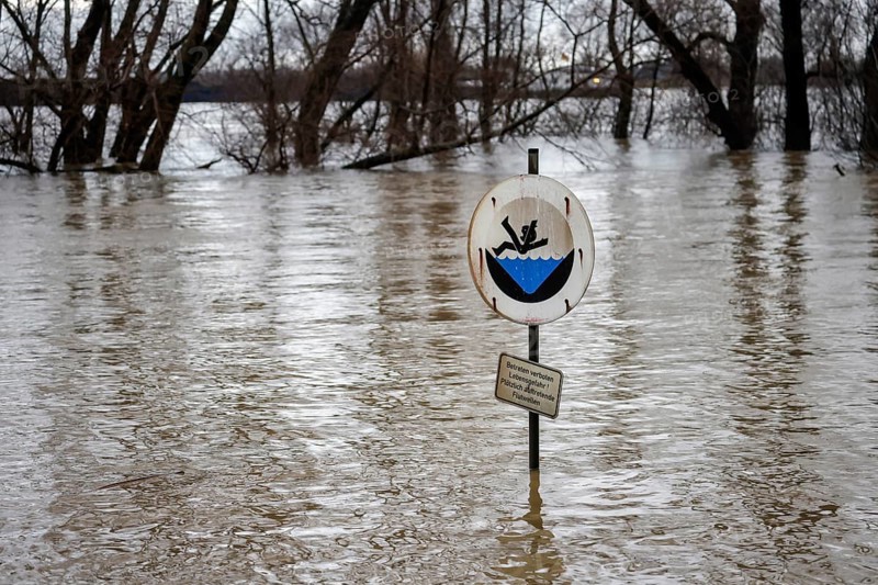 Duisburg, North Rhine-Westphalia, Germany - High water on the Rhine, trees are under water on the dyke in the Marxloh district