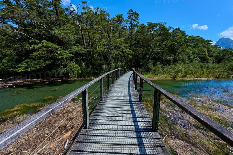 Curved wooden walkway leads over a clear river through a dense forest landscape under a sunny sky, summer, Milford Sound, Te Anau, Fiordland National Park, South Island, New Zealand, Oceania